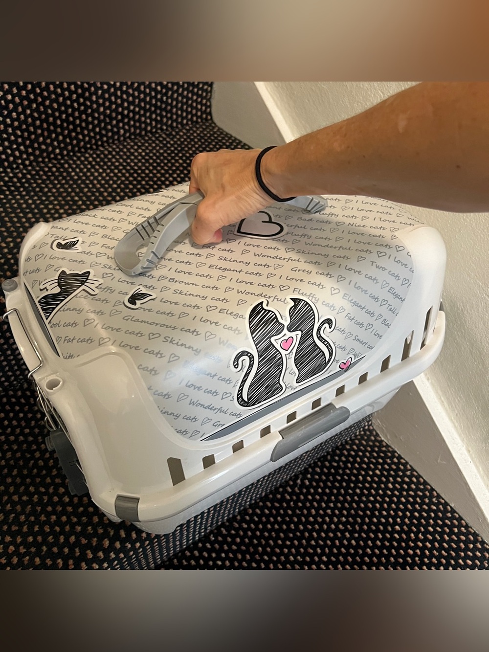Never used! Small Pet Cat Dog Carrier 20x12x12 Moderna “Cats in Love” Runner NWT - Picture 3 of 10